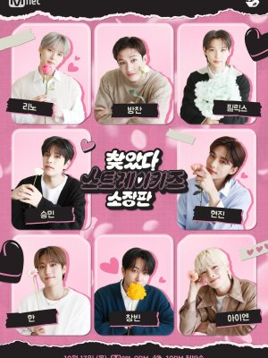В поисках Stray Kids