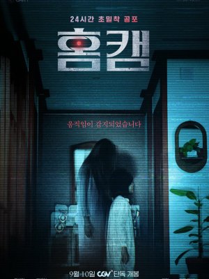 Домашняя камера