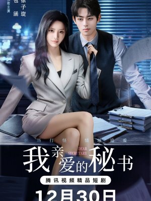 Мой дорогой секретарь