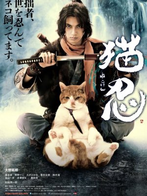 Ниндзя и кот