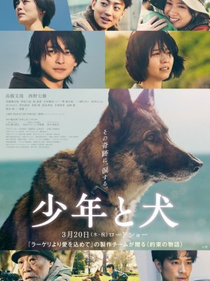 Мальчик и собака